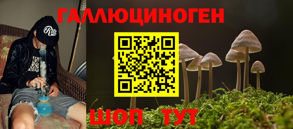 Глазов  Псилоцибиновые грибы Psilocybine cubensis  Вход с VPN 